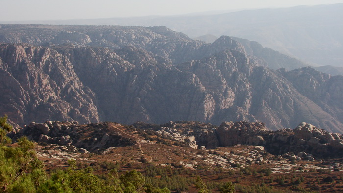 Wadi (dolina)
              Dana