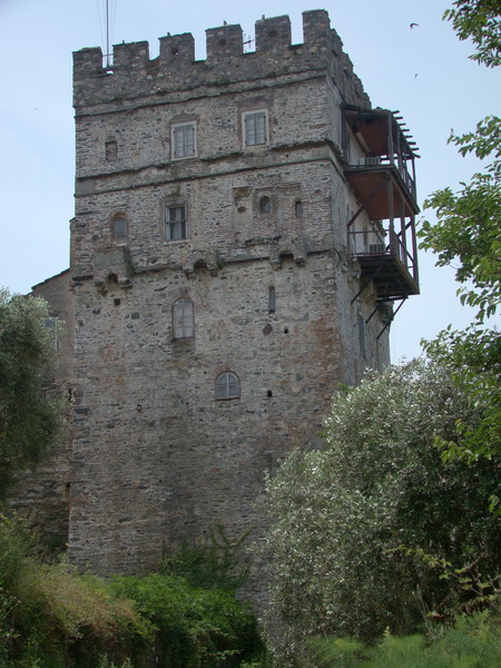 manastir
              Vatoped